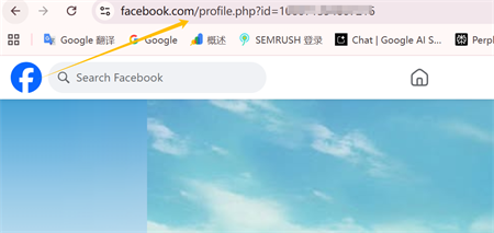 спасылка на профіль Facebook